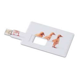 MEMORAMA Creditcard. USB flash 4GB