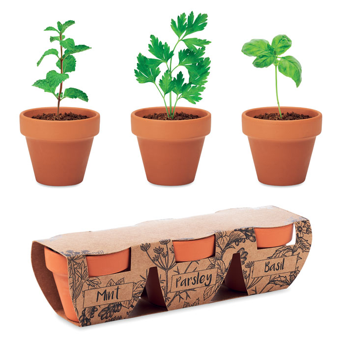 FLOWERPOT Set di erbe in terracotta