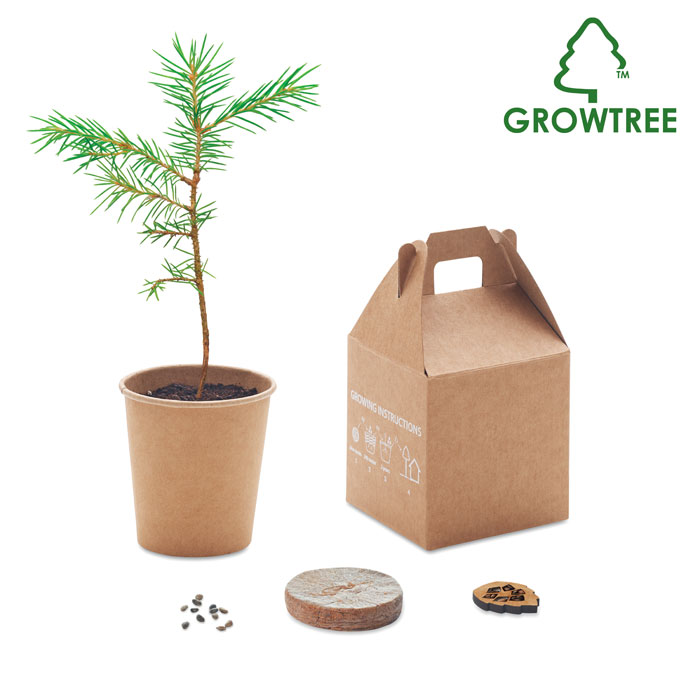 GROWTREE™ Set in legno di pino