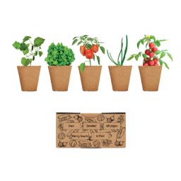 SALAD Kit per coltivare insalata