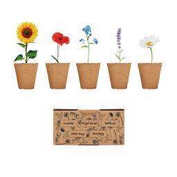 FLOWERS Kit per coltivare fiori